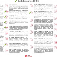 Symbole materaca Gemini